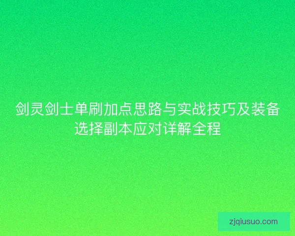剑灵剑士单刷加点思路与实战技巧及装备选择副本应对详解全程